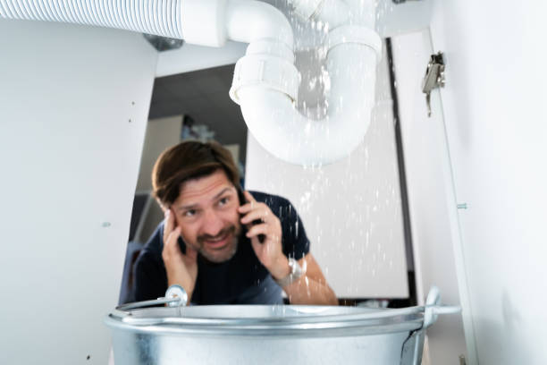 Best Clogged Drain Plumber  in Ridgeville, SC