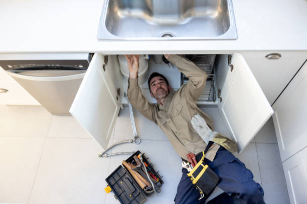 Best Commercial Plumbing Services  in Ridgeville, SC